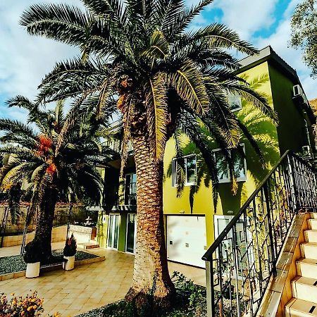 Palm Point Apartment Petrovac Екстериор снимка