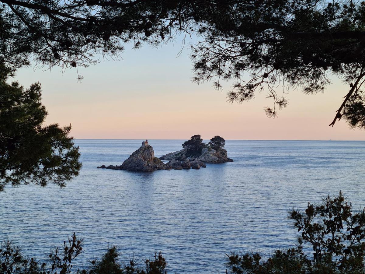 Palm Point Apartment Petrovac Екстериор снимка