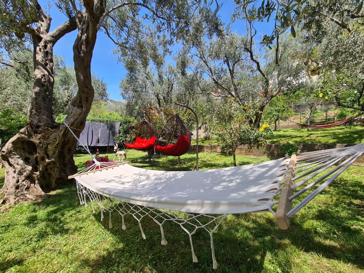 Palm Point Apartment Petrovac Екстериор снимка