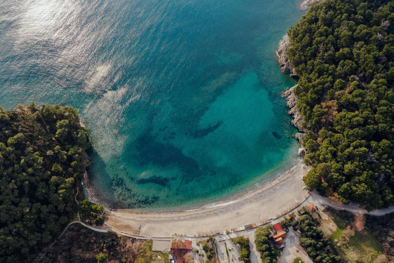 Palm Point Apartment Petrovac Екстериор снимка